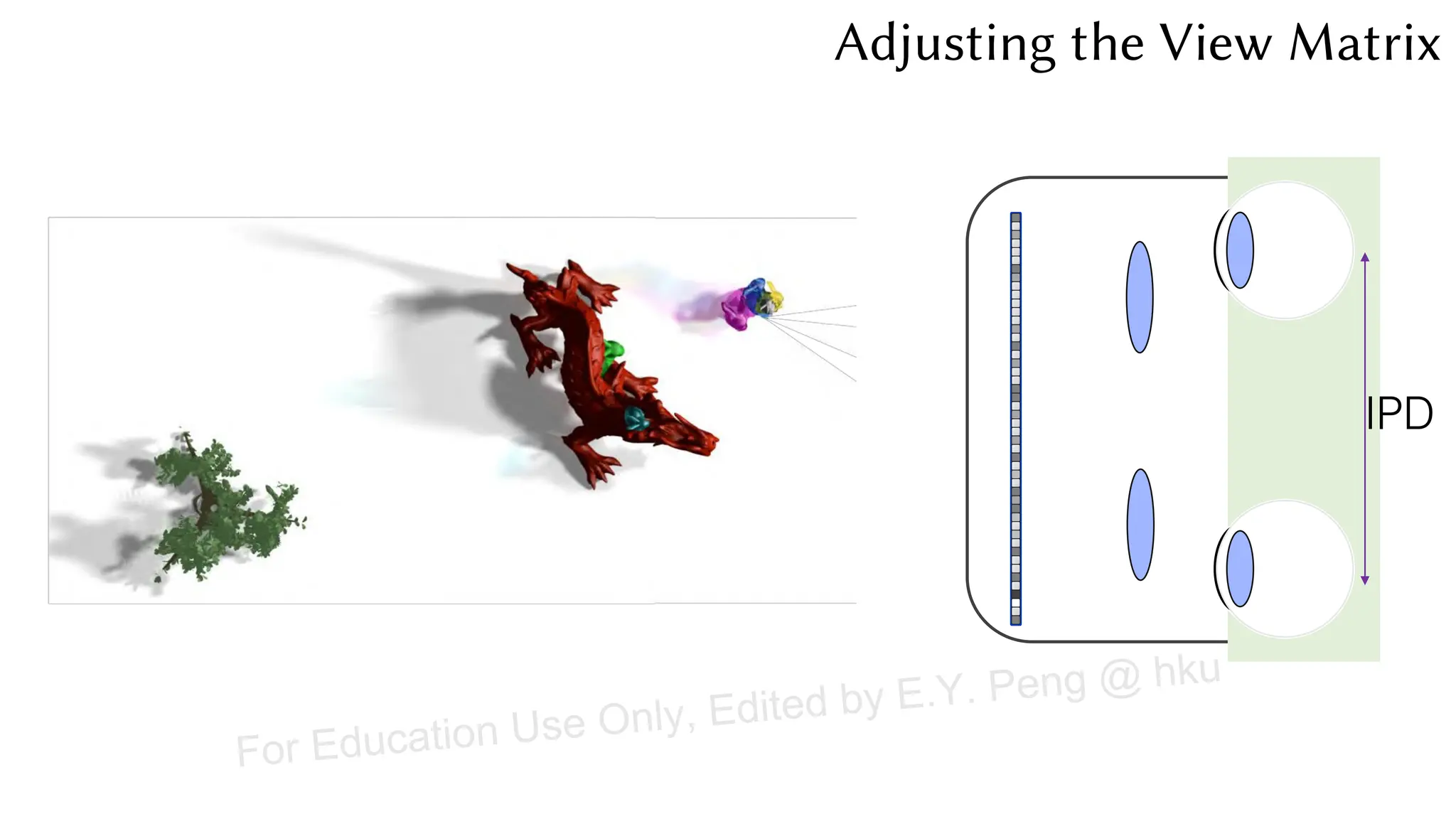 IPD
Adjusting the View Matrix
For Education Use Only, Edited by E.Y. Peng @ hku
 