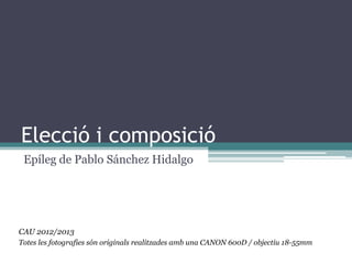 Elecció i composició
 Epíleg de Pablo Sánchez Hidalgo




CAU 2012/2013
Totes les fotografies són originals realitzades amb una CANON 600D / objectiu 18-55mm
 