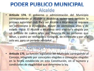 • Artículo 174. El gobierno y administración del Municipio 
corresponderán al Alcalde o Alcaldesa, quien será también la 
primera autoridad civil. Para ser Alcalde o Alcaldesa se requiere 
ser venezolano o venezolana, mayor de veinticinco años y de 
estado seglar. El Alcalde o Alcaldesa será elegido o elegida por 
un período de cuatro años por mayoría de las personas que 
votan, y podrá ser reelegido o reelegida, de inmediato y por una 
sola vez, para un período adicional. 
• Artículo 175. La función legislativa del Municipio corresponde al 
Concejo, integrado por concejales elegidos o concejalas elegidas 
en la forma establecida en esta Constitución, en el número y 
condiciones de elegibilidad que determine la ley. 
 