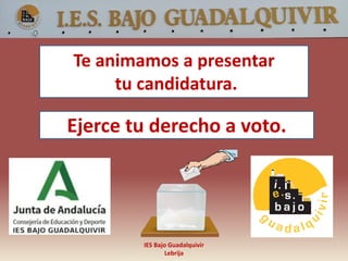 IES Bajo Guadalquivir
Lebrija
Te animamos a presentar
tu candidatura.
Ejerce tu derecho a voto.
 