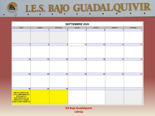 IES Bajo Guadalquivir
Lebrija
 