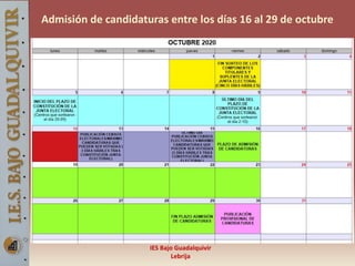 IES Bajo Guadalquivir
Lebrija
Admisión de candidaturas entre los días 16 al 29 de octubre
 