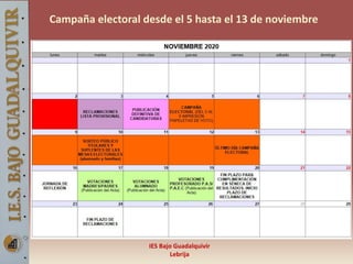 IES Bajo Guadalquivir
Lebrija
Campaña electoral desde el 5 hasta el 13 de noviembre
 