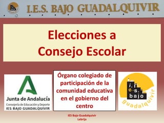 Elecciones a
Consejo Escolar
IES Bajo Guadalquivir
Lebrija
Órgano colegiado de
participación de la
comunidad educativa
en el gobierno del
centro
 
