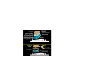 Electrical and Electronics Ebgineering _ Dr Paul K Joseph 