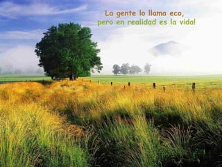 La gente lo llama eco,
pero en realidad es la vida!
 