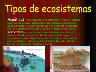 Tipos de ecosistemas Acuáticos: todos   aquellos ecosistema que tienen por biotopo   algún cuerpo de agua, como pueden ser: mareas, océanos, ríos, lagos, pantanos y demás fuentes. Los dos tipos más destacados son: los ecosistemas marinos y los ecosistemas de agua dulce.   Terrestre: son aquellos en los que los animales y plantas viven en el suelo y en el aire. Allí encuentran todo lo que necesitan para vivir. Dependiendo de los factores abióticos de cada ecosistema, podemos definir distintos tipos de hábitat terrestres: desiertos, praderas y selvas. 