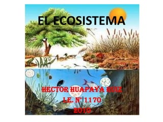 EL ECOSISTEMA HECTOR HUAPAYA RUIZ I.E. N° 1170 2010 