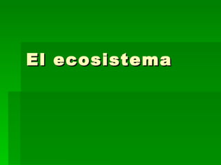 El ecosistema 