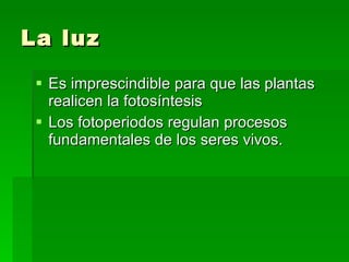 La luz Es imprescindible para que las plantas realicen la fotosíntesis Los fotoperiodos regulan procesos fundamentales de los seres vivos. 