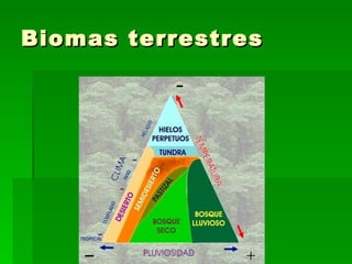 Biomas terrestres 