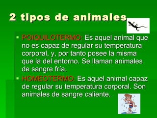 2 tipos de animales POIQUILOTERMO:  Es aquel animal que no es capaz de regular su temperatura corporal, y, por tanto posee la misma que la del entorno. Se llaman animales de sangre fría. HOMEOTERMO:  Es aquel animal capaz de regular su temperatura corporal. Son animales de sangre caliente. 