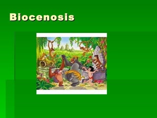 Biocenosis 