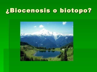 ¿Biocenosis o biotopo? 