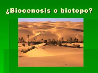 ¿Biocenosis o biotopo? 