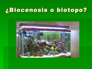 ¿Biocenosis o biotopo? 