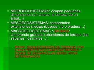MICROECOSISTEMAS: ocupan pequeñas dimensiones (un charco, la corteza de un árbol…) MESOECOSISTEMAS: comprenden extensiones medias (bosque, río o pradera…) MACROECOSISTEMAS o  BIOMAS : comprende grandes extensiones de terreno (las sabanas, los mares…) BIOMA:  GRAN EXTENSIÓN DE TERRENO  CON CARACTERÍSTICAS CLIMÁTICAS PROPIAS Y DONDE SE DESARROLLAN SERES VIVOS DETERMINADOS 