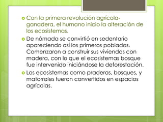  Con  la primera revolución agrícola-
  ganadera, el humano inicio la alteración de
  los ecosistemas.
 De nómada se convirtió en sedentario
  apareciendo así los primeros poblados.
  Comenzaron a construir sus viviendas con
  madera, con lo que el ecosistemas bosque
  fue intervenido iniciándose la deforestación.
 Los ecosistemas como praderas, bosques, y
  matorrales fueron convertidos en espacios
  agrícolas.
 