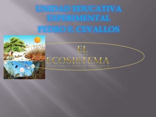 UNIDAD EDUCATIVA
  EXPERIMENTAL
PEDRO F. CEVALLOS
 