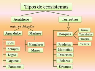 Tipos de ecosistemas

        Acuáticos               Terrestres
  según su ubicación               son
                                              Boreal
Agua dulce          Marinos   Bosques        Templados
                                             Tropical
 Ríos           Manglares     Praderas       Tundra
 Arroyos             Mares    Montañas
 Lagos                        Desiertos
 Lagunas                      Polares
 Pantanos                     Urbanos
 