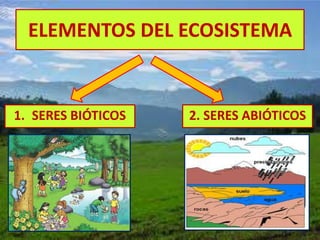 ELEMENTOS DEL ECOSISTEMA
1. SERES BIÓTICOS 2. SERES ABIÓTICOS