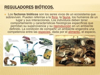 El ecosistema | PPTX