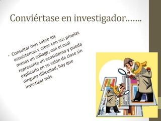 Conviértase en investigador…….
 