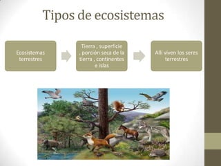 Tipos de ecosistemas
Ecosistemas
terrestres
Tierra , superficie
, porción seca de la
tierra , continentes
e islas
Allí viven los seres
terrestres
 