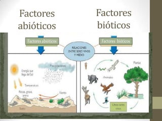 Factores
abióticos
Factores
bióticos
 