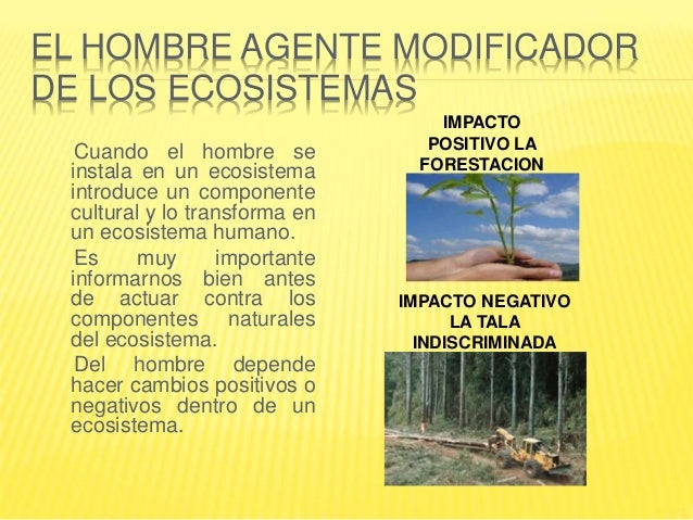 El ecosistema