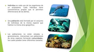  Individuo es cada uno de los organismos de
un ecosistema. Cada individuo tiene
características propias que le permiten
diferenciarse de los demás.
 Una población está formada por el conjunto
de individuos de la misma especie que
habitan la misma área geográfica.
 Las poblaciones no están aisladas y,
generalmente, interactúan con poblaciones
de otras especies formando comunidades,
las cuales pueden tener diferentes tamaños.
 