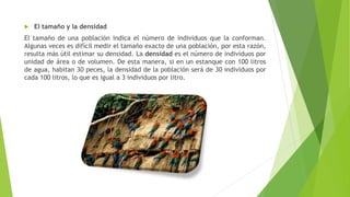  El tamaño y la densidad
El tamaño de una población indica el número de individuos que la conforman.
Algunas veces es difícil medir el tamaño exacto de una población, por esta razón,
resulta más útil estimar su densidad. La densidad es el número de individuos por
unidad de área o de volumen. De esta manera, si en un estanque con 100 litros
de agua, habitan 30 peces, la densidad de la población será de 30 individuos por
cada 100 litros, lo que es igual a 3 individuos por litro.
 
