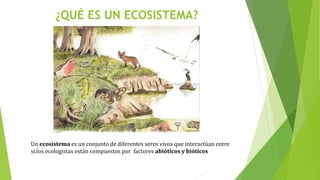 ¿QUÉ ES UN ECOSISTEMA?
Un ecosistema es un conjunto de diferentes seres vivos que interactúan entre
si.los ecologistas están compuestos por factores abióticos y bióticos
 