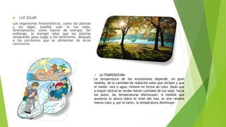  LUZ SOLAR
Los organismos fotosintéticos, como las plantas
y las algas, pueden usar la luz solar,
directamente, como fuente de energía. Sin
embargo, la energía solar que las plantas
almacenan pasa luego a los herbívoros, después
a los carnívoros que se alimentan de otros
carnívoros.
 LA TEMPERATURA
La temperatura de los ecosistemas depende, en gran
medida, de la cantidad de radiación solar que reciben y que
el medio –aire o agua—retiene en forma de calor. Dado que
a mayor latitud se recibe menor cantidad de luz solar, hacia
los polos, las temperaturas disminuyen. A medida que
aumenta la altura sobre el nivel del mar, el aire retiene
menos calor y, por lo tanto, la temperatura disminuye.
 