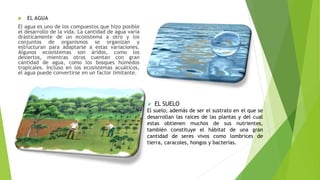  EL AGUA
El agua es uno de los compuestos que hizo posible
el desarrollo de la vida. La cantidad de agua varía
drásticamente de un ecosistema a otro y los
conjuntos de organismos se organizan y
estructuran para adaptarse a estas variaciones.
Algunos ecosistemas son áridos, como los
desiertos, mientras otros cuentan con gran
cantidad de agua, como los bosques húmedos
tropicales. Incluso en los ecosistemas acuáticos,
el agua puede convertirse en un factor limitante.
 EL SUELO
El suelo, además de ser el sustrato en el que se
desarrollan las raíces de las plantas y del cual
estas obtienen muchos de sus nutrientes,
también constituye el hábitat de una gran
cantidad de seres vivos como lombrices de
tierra, caracoles, hongos y bacterias.
 