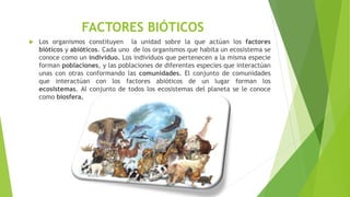 FACTORES BIÓTICOS
 Los organismos constituyen la unidad sobre la que actúan los factores
bióticos y abióticos. Cada uno de los organismos que habita un ecosistema se
conoce como un individuo. Los individuos que pertenecen a la misma especie
forman poblaciones, y las poblaciones de diferentes especies que interactúan
unas con otras conformando las comunidades. El conjunto de comunidades
que interactúan con los factores abióticos de un lugar forman los
ecosistemas. Al conjunto de todos los ecosistemas del planeta se le conoce
como biosfera.
 