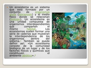  Un ecosistema es un sistema
que está formado por un
conjunto de organismos
vivos (biocenosis) y el medio
físico donde se relacionan
(biotopo). Un ecosistema es
una unidad compuesta de
organismos interdependientes
que comparten el
mismo hábitat. Los
ecosistemas suelen formar una
serie de cadenas que muestran
la interdependencia de los
organismos dentro del
sistema.1 También se puede
definir así: «Un ecosistema
consiste de la comunidad
biológica de un lugar y de los
factores físicos y químicos que
constituyen el
ambiente abiótico».2
 