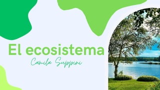 El ecosistema
Camila Suppini
 