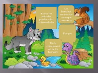 Ya que los
animales
puedes sufrir
enfermedades
Por que
Por la
contaminaci
ón de los
humanos
Los
humanos
ase muchas
cosas que
nos afecta
 
