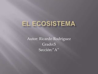 Autor: Ricardo Rodríguez
Grado:5
Sección:”A”
 
