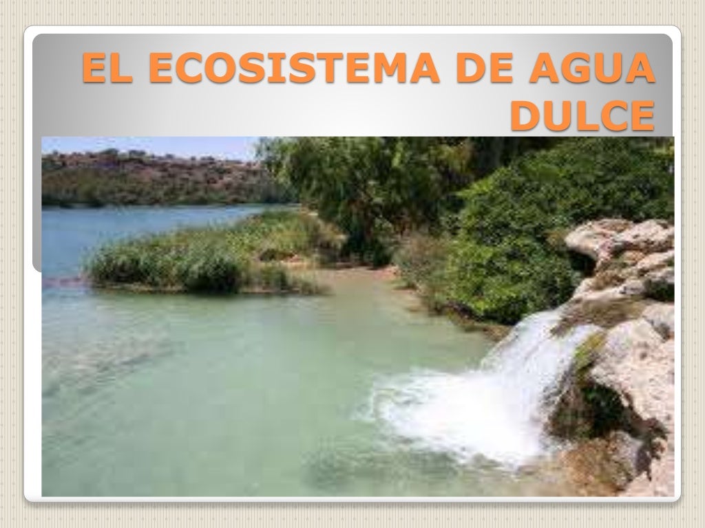 El ecosistema de agua dulce