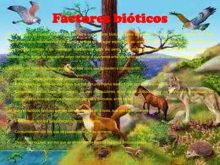 Factores bióticos
En la ecología, se conoce como factor biótico o componente biótico a todos los organismos vivos que interactúan con otros

organismos vivos, refiriéndonos a la fauna y la flora de un lugar específico, así como también a sus interacciones. También se

llama factores bióticos a las relaciones establecidas entre los seres vivos de un ecosistema y que además condicionan su

existencia. Sin dudas es importante saber del tema si queremos entender la forma de marchar de los ecosistemas.


Los ﻿factores bióticos pueden dividirse en tres tipos que aparecen a continuación:

    Individuo: cada organismo del ecosistema.
    Población: el conjunto de individuos que habitan una misma área o lugar, como ya explicamos.

    Comunidad: en un lugar determinado se dan interacciones entre varias poblaciones y se forma una comunidad. Un

     ejemplo es el bosque, donde interactúan plantas y animales, entre otros.


Los factores bióticos también pueden ser clasificados en 3 tipos, que son los siguientes:

    Productores: son los que fabrican su propio alimento.

    Consumidores: son los que no pueden producir su alimento.

    Descomponedores: son los que se alimentan de materia orgánica descompuesta.
 