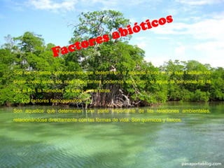 Son los distintos componentes que determinan el espacio físico en el cual habitan los
seres vivos; entre los mas importantes podemos encontrar: el agua, la temperatura, la
luz, el PH, la humedad, el suelo, entre otros.

•   Los factores fisicoquímicos

Son aquellos que determinan una parte importante de las relaciones ambientales,
relacionándose directamente con las formas de vida. Son químicos y físicos.
 