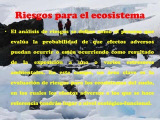 Riesgos para el ecosistema
• El análisis de riesgos se define como el proceso que
  evalúa la probabilidad de que efectos adversos
  puedan ocurrir o estén ocurriendo como resultado
  de   la   exposición   a   uno   o   varios   estresores
  ambientales. En este campo, un área clave es la
  evaluación de riesgos para los ecosistemas del suelo,
  en los cuales los efectos adversos a los que se hace
  referencia tendrán lugar a nivel ecológico-funcional.
 