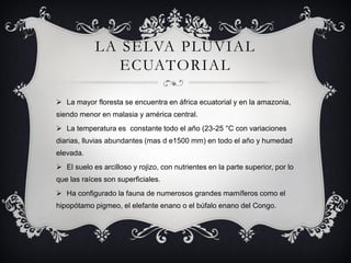 LA SELVA PLUVIAL
               ECUATORIAL

 La mayor floresta se encuentra en áfrica ecuatorial y en la amazonia,
siendo menor en malasia y américa central.
 La temperatura es constante todo el año (23-25 °C con variaciones
diarias, lluvias abundantes (mas d e1500 mm) en todo el año y humedad
elevada.
 El suelo es arcilloso y rojizo, con nutrientes en la parte superior, por lo
que las raíces son superficiales.
 Ha configurado la fauna de numerosos grandes mamíferos como el
hipopótamo pigmeo, el elefante enano o el búfalo enano del Congo.
 