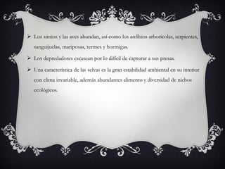 Los simios y las aves abundan, así como los anfibios arborícolas, serpientes,
   sanguijuelas, mariposas, termes y hormigas.

 Los depredadores escasean por lo difícil de capturar a sus presas.

 Una característica de las selvas es la gran estabilidad ambiental en su interior
   con clima invariable, además abundantes alimento y diversidad de nichos
   ecológicos.
 