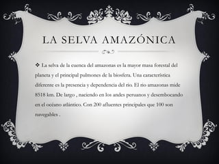 LA SELVA AMAZÓNICA

 La selva de la cuenca del amazonas es la mayor masa forestal del
planeta y el principal pulmones de la biosfera. Una característica
diferente es la presencia y dependencia del rio. El rio amazonas mide
8518 km. De largo , naciendo en los andes peruanos y desembocando
en el océano atlántico. Con 200 afluentes principales que 100 son
navegables .
 
