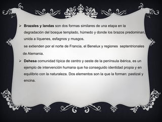  Brazales y landas son dos formas similares de una etapa en la
   degradación del bosque templado, húmedo y donde los brazos predominan,
   unida a líquenes, esfagnos y musgos.

   se extienden por el norte de Francia, el Benelux y regiones septentrionales

  de Alemania.

 Dehesa comunidad típica de centro y oeste de la península ibérica, es un
   ejemplo de intervención humana que ha conseguido identidad propia y en
   equilibrio con la naturaleza. Dos elementos son la que la forman: pastizal y
   encina.
 