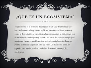 ¿QUE ES UN ECOSISTEMA?

El ecosistema es el conjunto de especies de un área determinada que
interactúan entre ellas y con su ambiente abiótico; mediante procesos
como la depredación, el parasitismo, la competencia y la simbiosis, y con
su ambiente al desintegrarse y volver a ser parte del ciclo de energía y de
nutrientes. Las especies del ecosistema, incluyendo bacterias, hongos,
plantas y animales dependen unas de otras. Las relaciones entre las
especies y su medio, resultan en el flujo de materia y energía del
ecosistema.
 