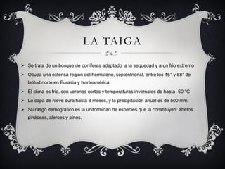 LA TAIGA

 Se trata de un bosque de coníferas adaptado a la sequedad y a un frio extremo
 Ocupa una extensa región del hemisferio, septentrional, entre los 45° y 58° de
   latitud norte en Eurasia y Norteamérica.
 El clima es frio, con veranos cortos y temperaturas invernales de hasta -60 °C
 La capa de nieve dura hasta 8 meses, y la precipitación anual es de 500 mm.
 Su rasgo demográfico es la uniformidad de especies que la constituyen: abetos
   pináceas, alerces y pinos.
 